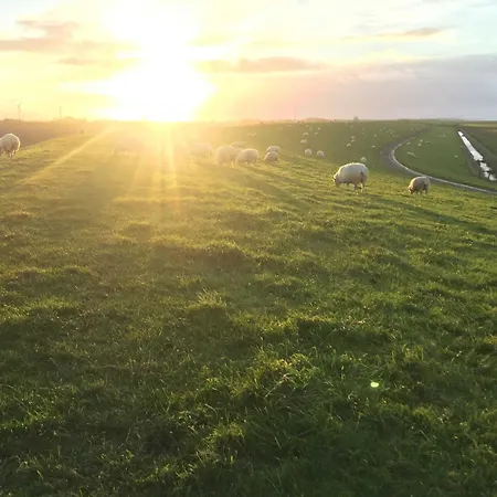 Strandraeuber Daire *